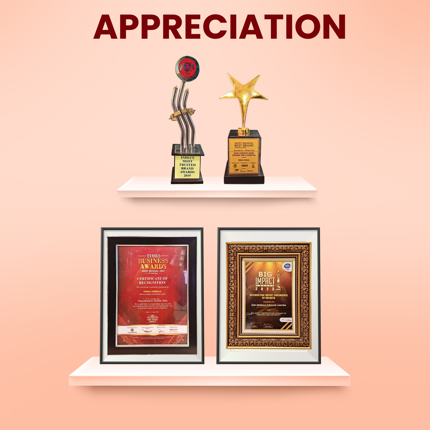 ओशिया क्रीम 9इन1 मल्टी नाइट