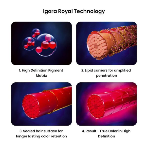 SCHWARZKOPF PROFESSIONAL IGORA ROYAL 6-0 60 ML (T)