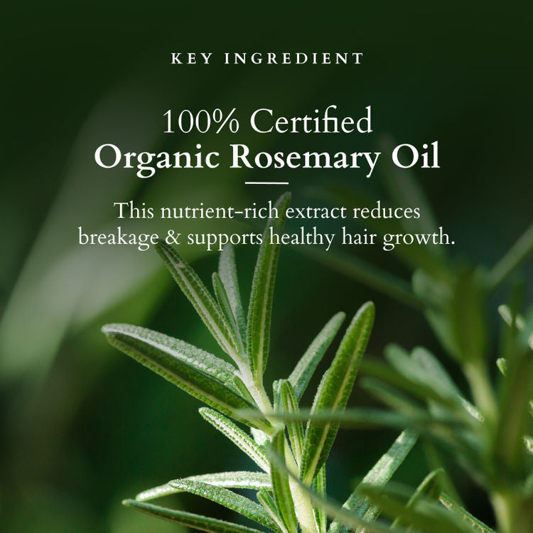 LOTUS ORGANICS HAIR GROWTH ACTIVE-CONCENTRATE SERUM 28ML