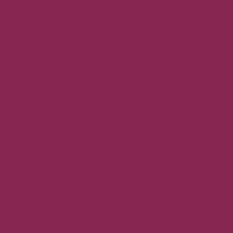INSIGHT LIP LINER TWIST 13
