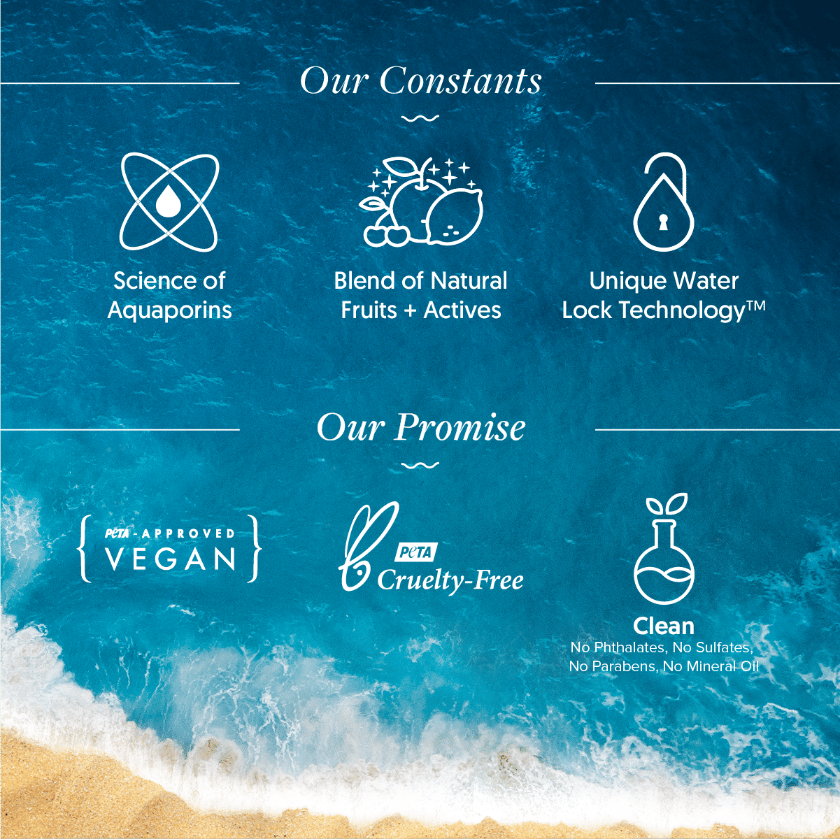 AQUALOGICA DETAN+SMOOTHIE FACE WASH 100ML