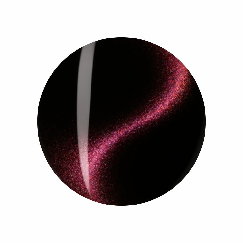 SHILLS 9D CAT EYE GEL POLISH 311