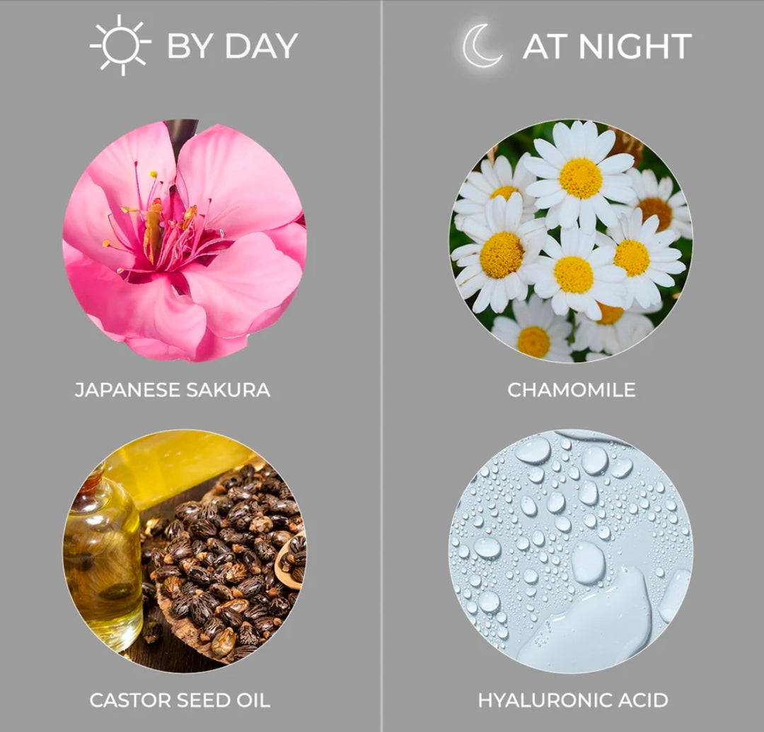 LOTUS MAKEUP PROEDIT DAY & NIGHT MASCARA