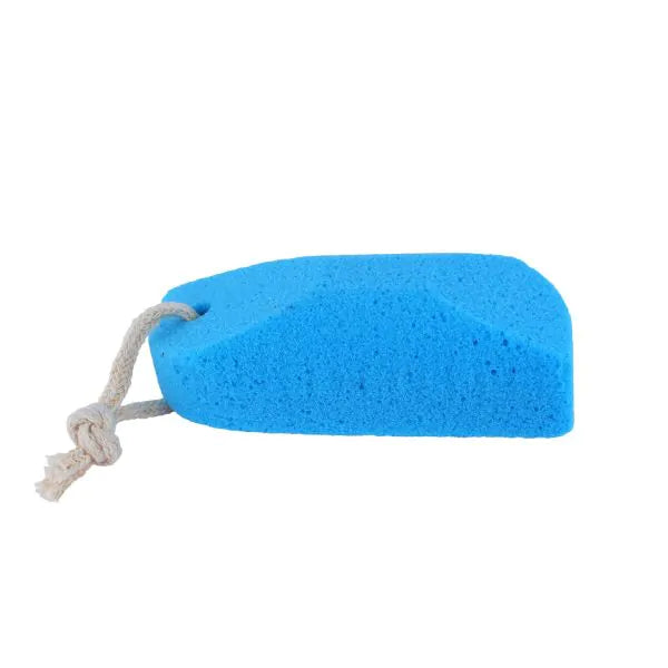 VEGA PUMICE SPONGE PD-17 1N