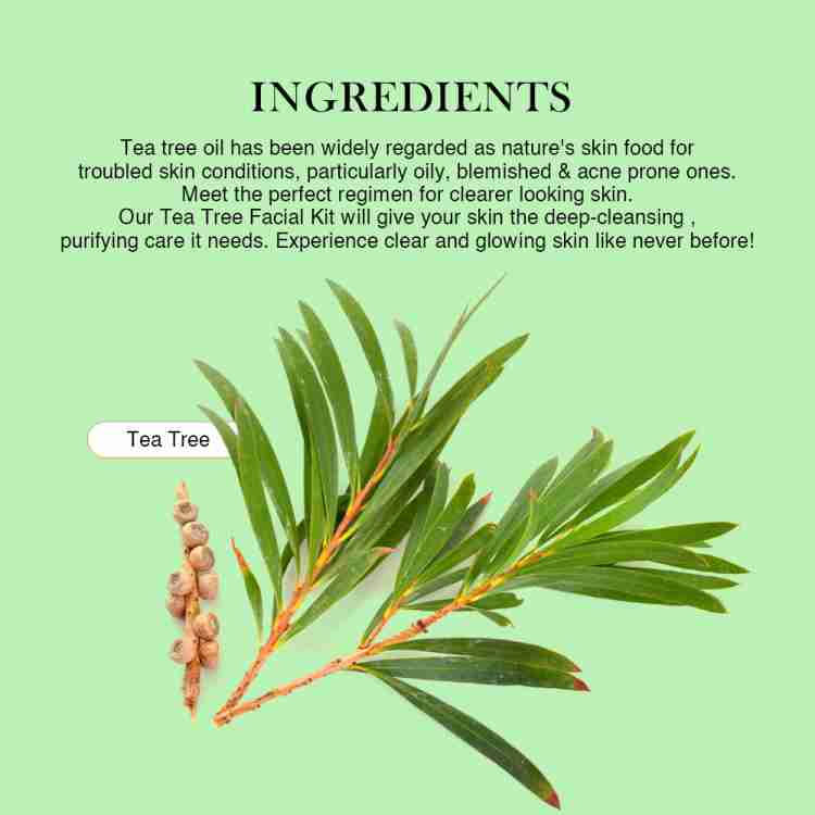 RICHFEEL TEA TREE FACIAL KIT 250G