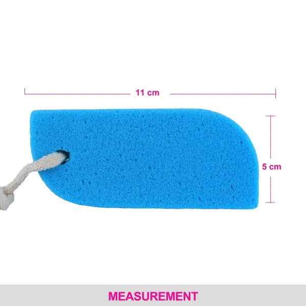 VEGA PUMICE SPONGE PD-17 1N