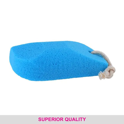 VEGA PUMICE SPONGE PD-17 1N