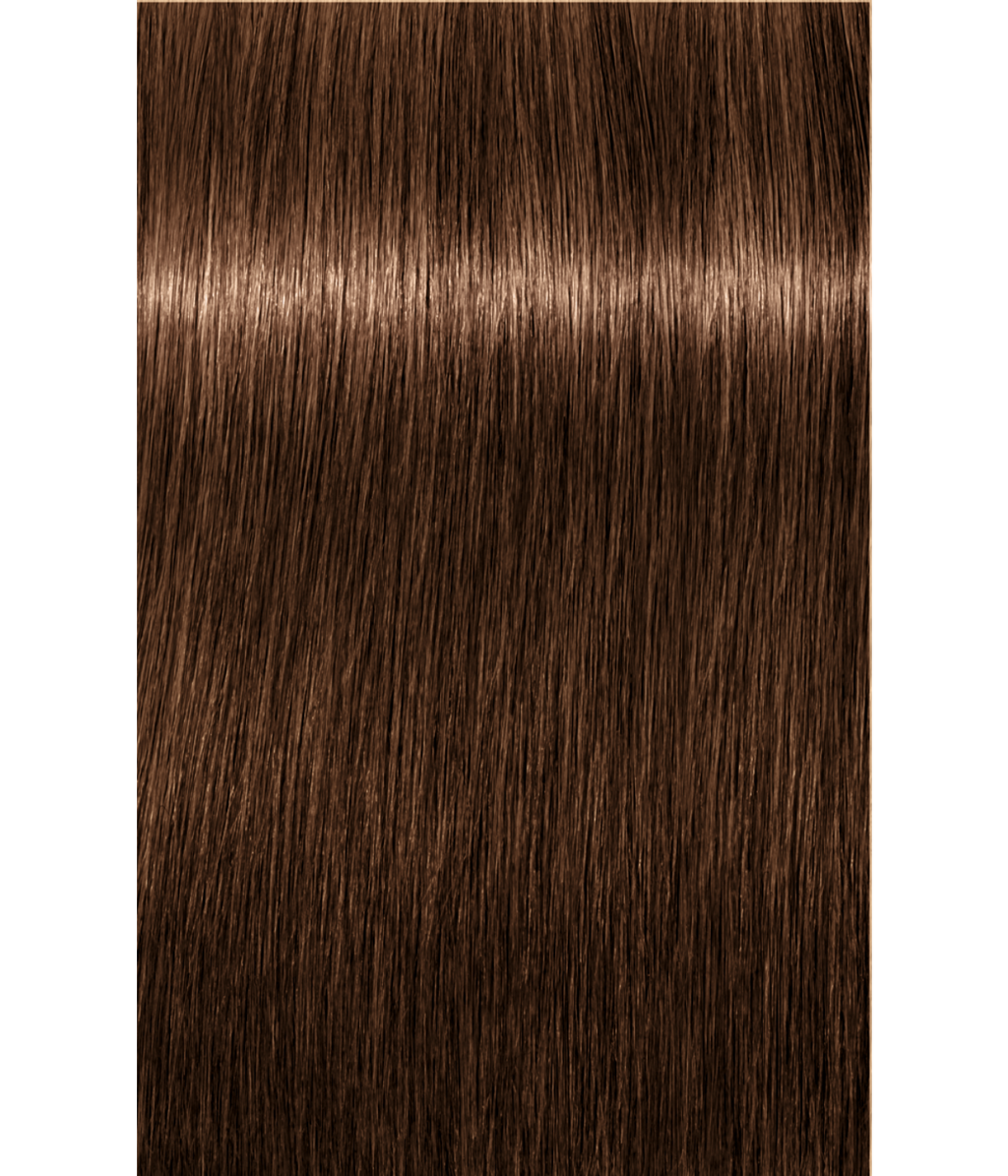 Schwarzkopf Igora Royal 6-65 Dark Blonde Chocolate Gold 60ml