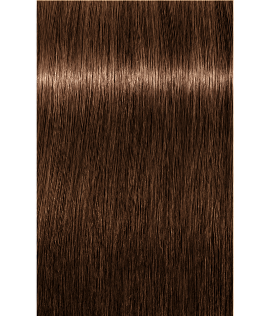 Schwarzkopf Igora Royal 6-65 Dark Blonde Chocolate Gold 60ml