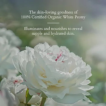 LOTUS ORGANICS PRECIOUS BRIGHTENING CREAM SPF 20 30GM