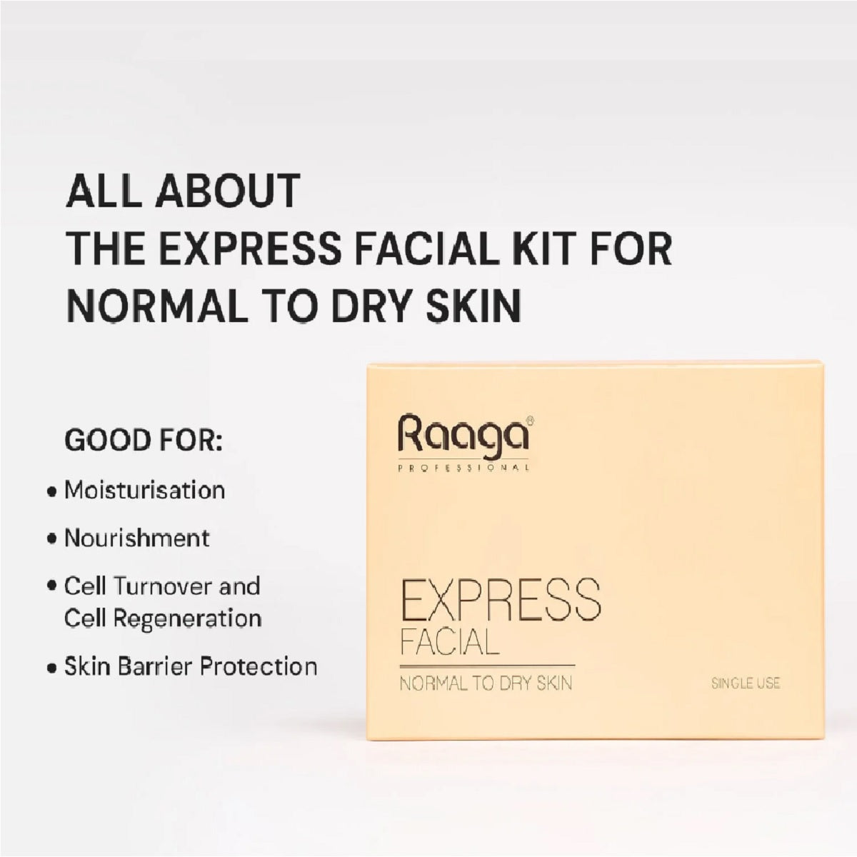 RAAGA FACIAL KIT EXPRESS DRY