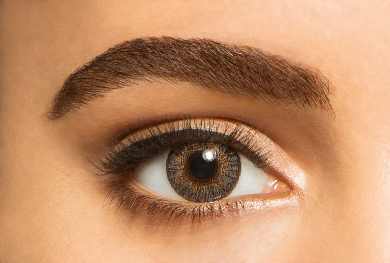 FRESHLOOK LENSES GRAY 2 PCS