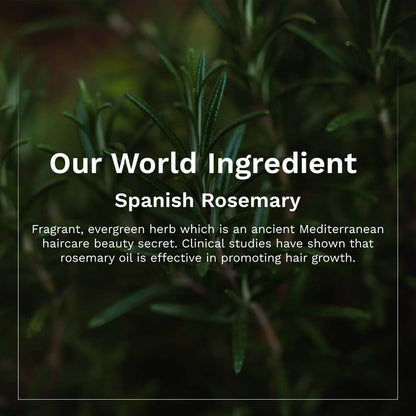 PILGRIM SPANISH ROSEMARY ESSENTIAL OIL 10ML