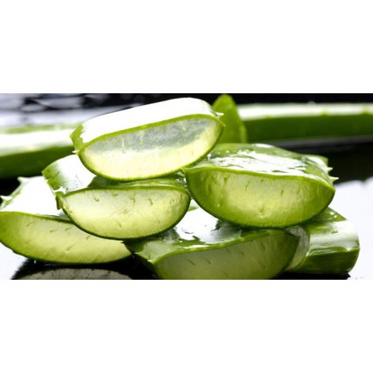 RICA WAX ALOE VERA 800 ML