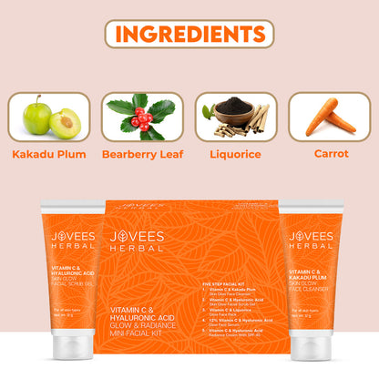 JOVEES HERBAL MINI FACIAL KIT VITAMIN C AND HYALURONIC ACID 5 STEPS