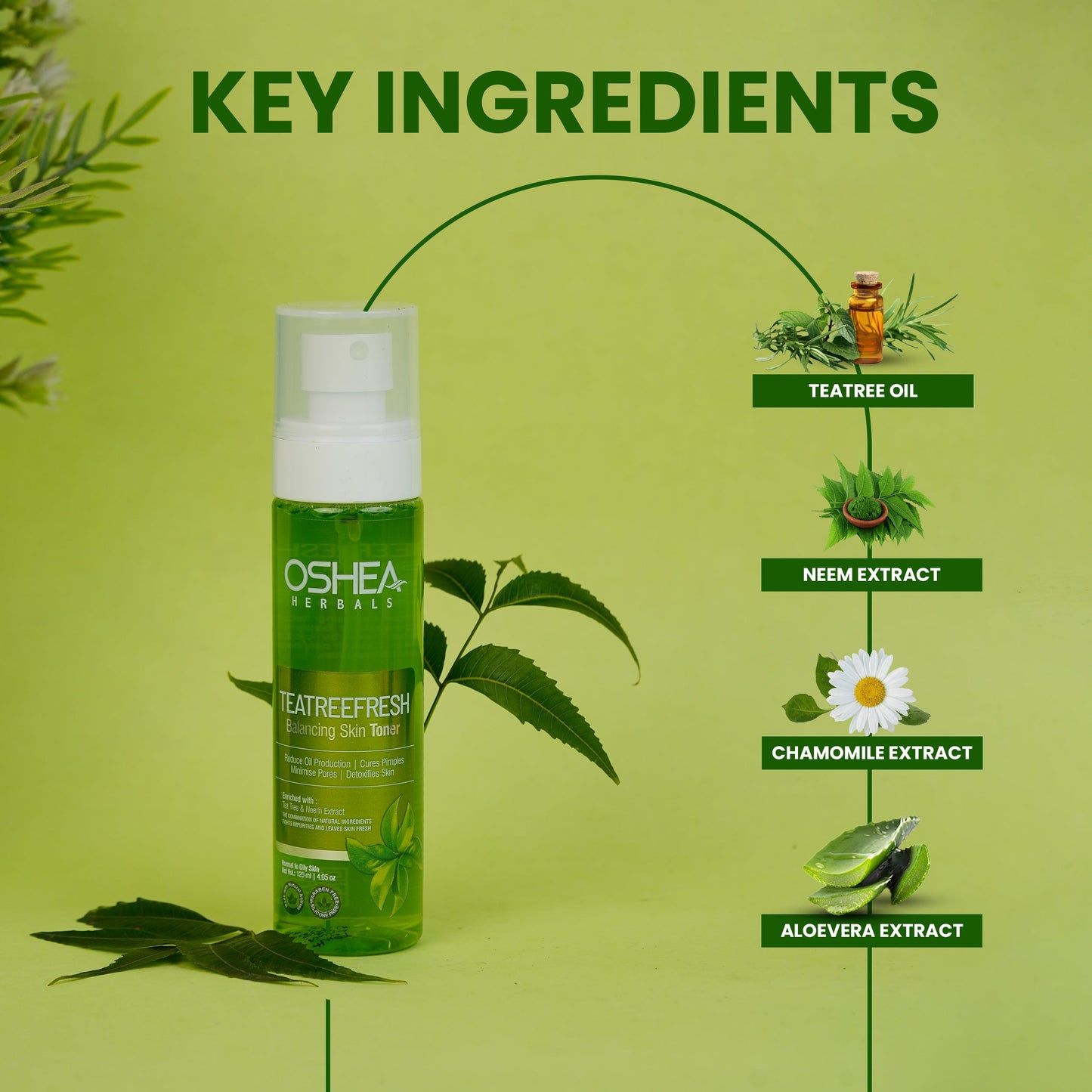 OSHEA TONER TEA TREE