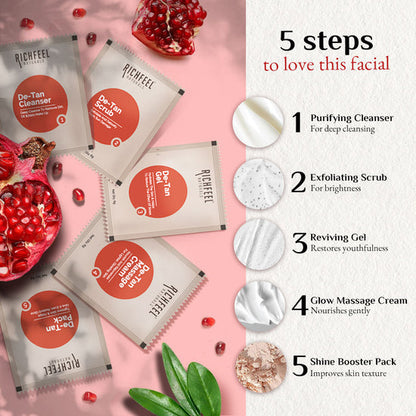 RICHFEEL FACIAL KIT DE TAN SINGLE