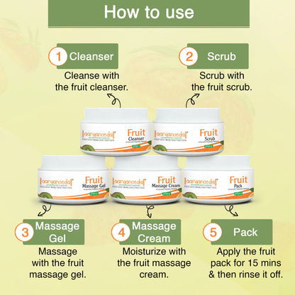 ARYANVEDA FRUIT SPA FACIAL KIT 270GM