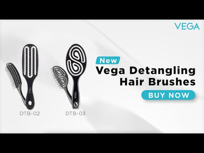 वेगा डीटीबी-02