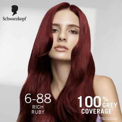 SCHWARZKOPF COLOR SPECIALIST 6-88